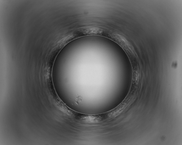 X0000098210326200805011217