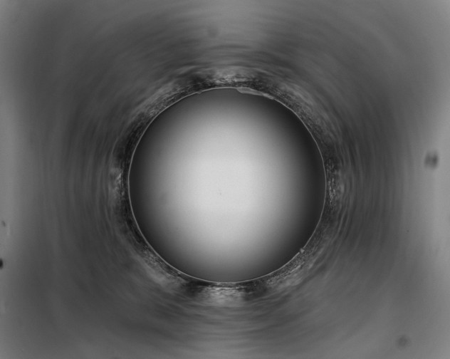 X0000098210327200805011217