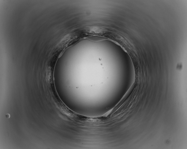 X0000098210328200805011217