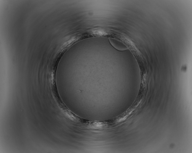 X0000098210330200805011217