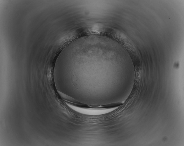 X0000098210331200805011217
