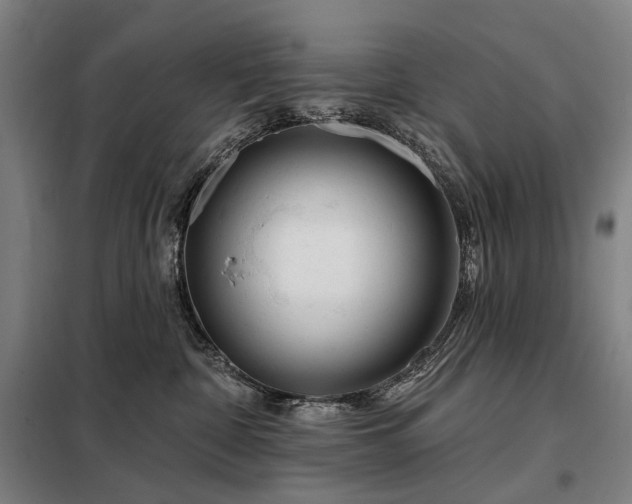 X0000098210332200805011217