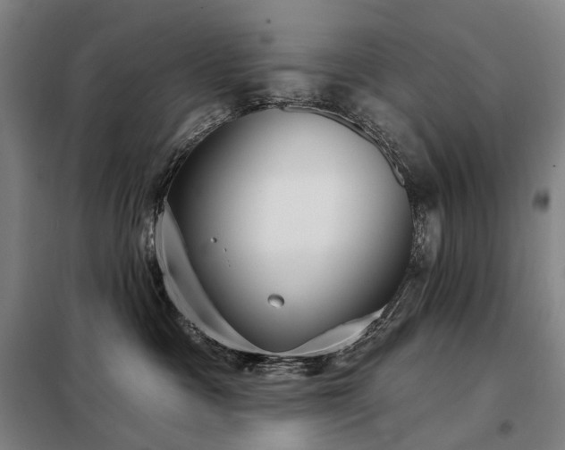 X0000098210333200805011216