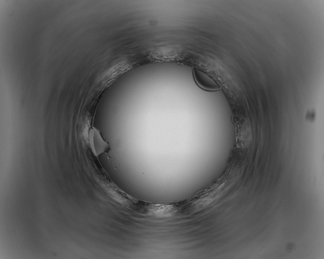 X0000098210334200805011216