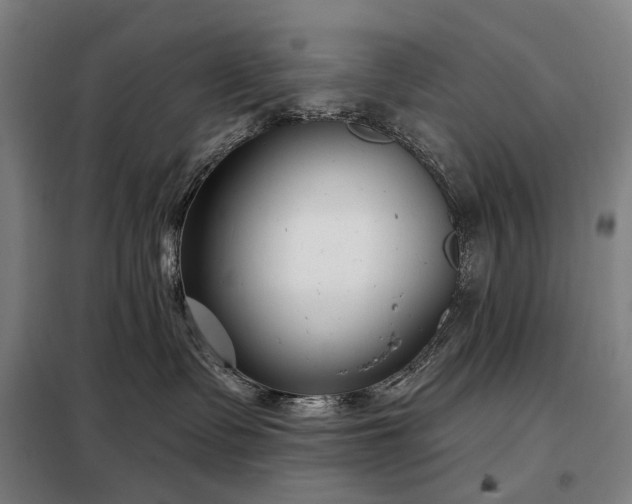 X0000098210335200805011216
