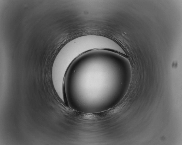 X0000098210336200805011216