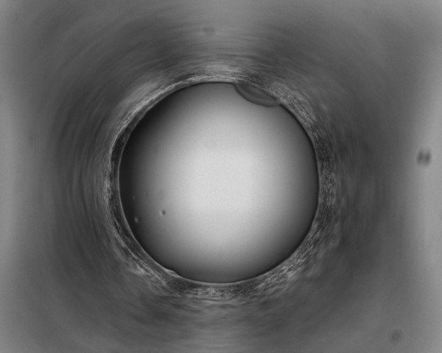 X0000098210338200805011216