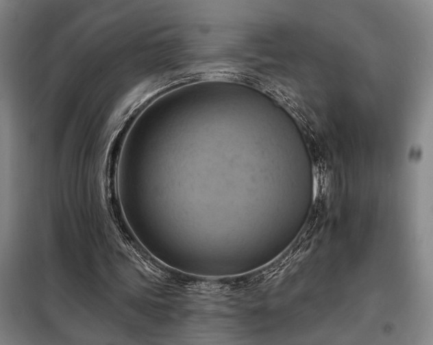 X0000098210339200805011216