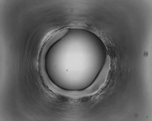 X0000098210340200805011216