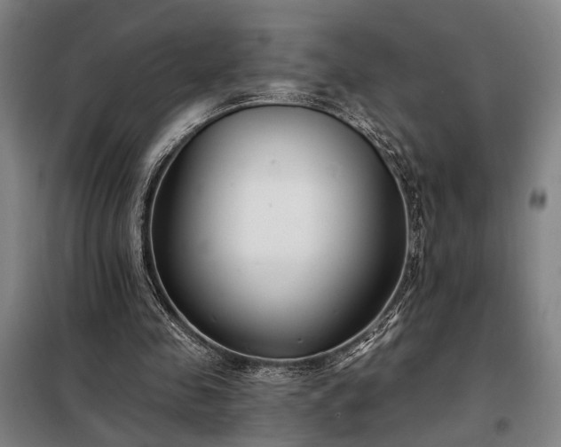 X0000098210341200805011216