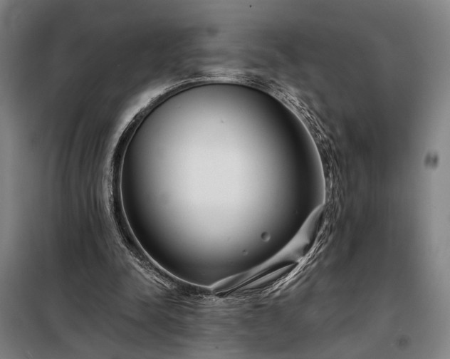 X0000098210342200805011216