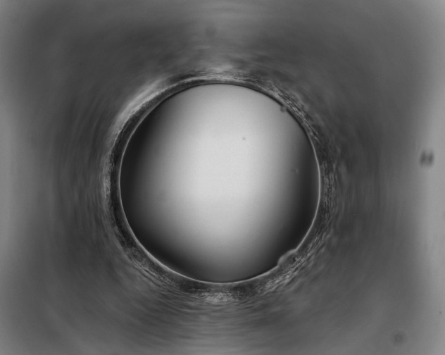 X0000098210344200805011216