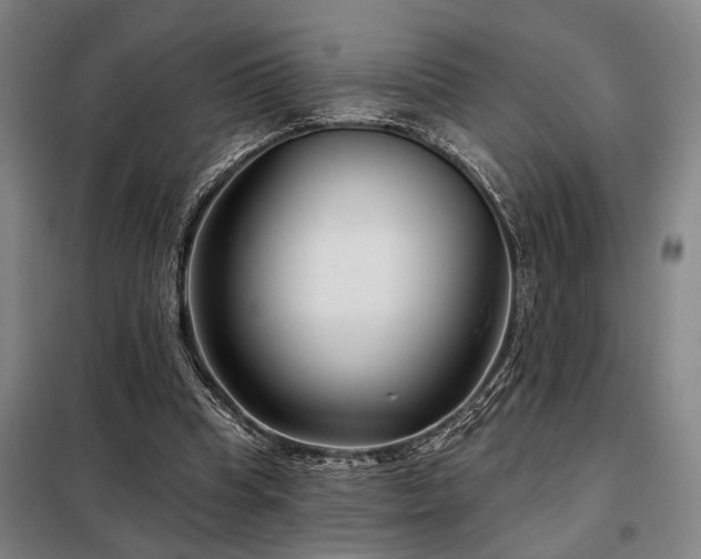X0000098210345200805011216
