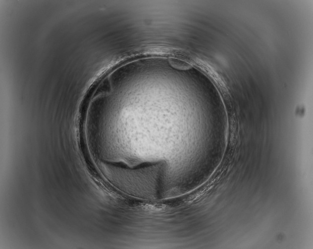 X0000098210346200805011216
