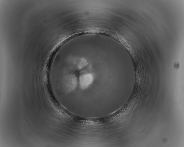 X0000098210347200805011216
