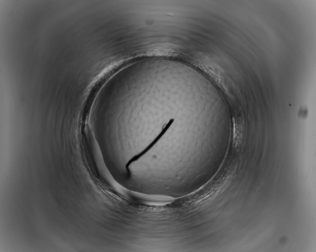 X0000098210348200805011216