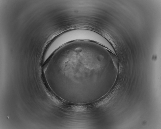 X0000098210349200805011216