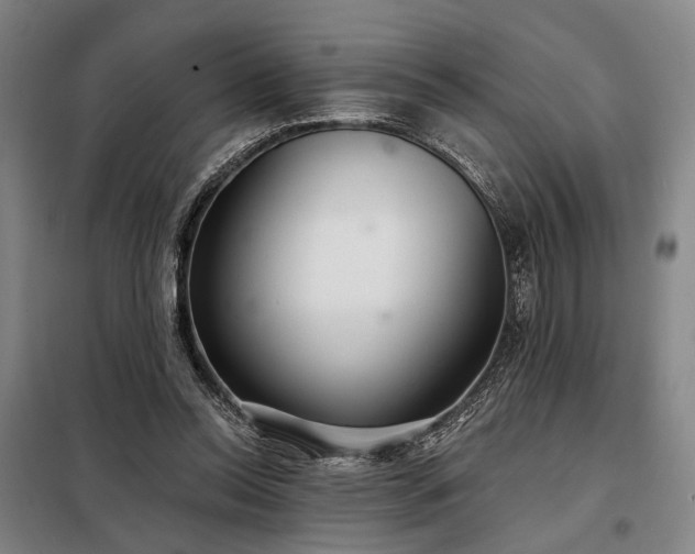 X0000098210350200805011216