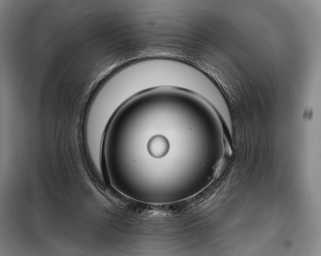 X0000098210352200805011216