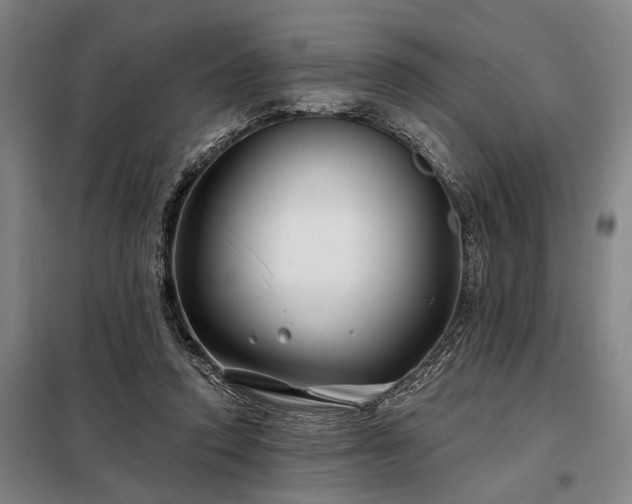 X0000098210354200805011216