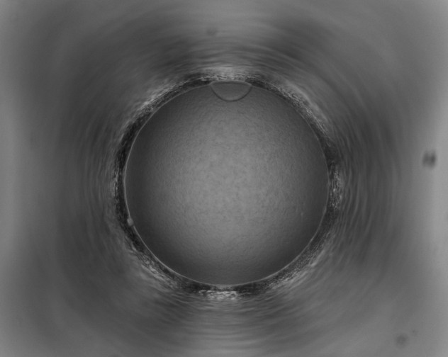 X0000098210355200805011216
