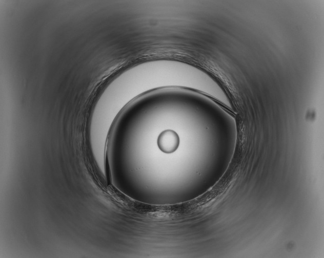 X0000098210356200805011216