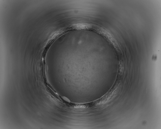 X0000098210357200805011216