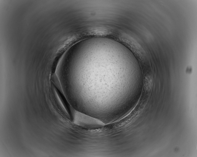 X0000098210358200805011216