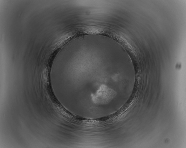 X0000098210359200805011216