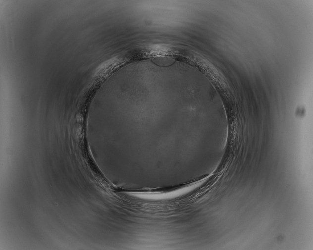 X0000098210361200805011216