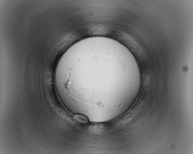 X0000098210362200805011216