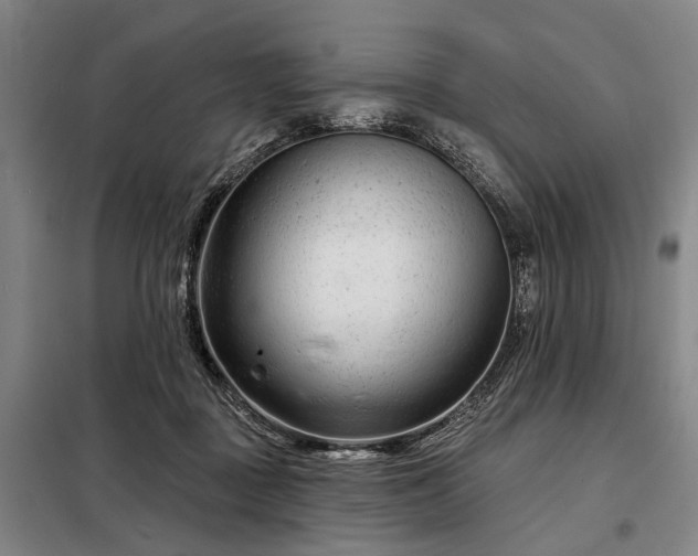 X0000098210363200805011216
