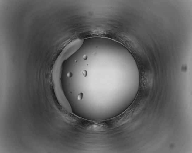X0000098210364200805011216