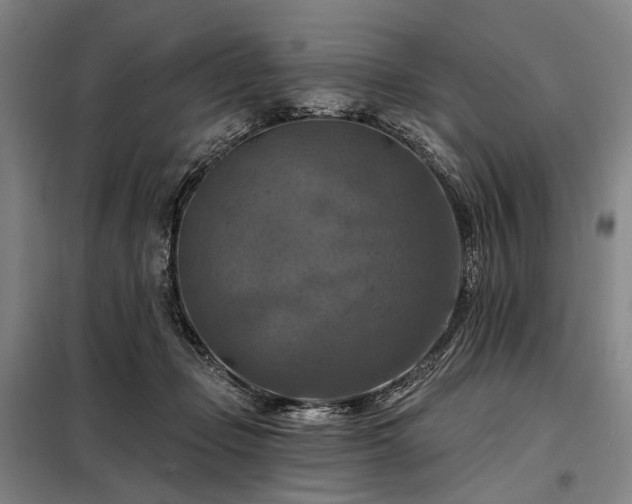 X0000098210365200805011216