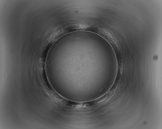 X0000098210366200805011216