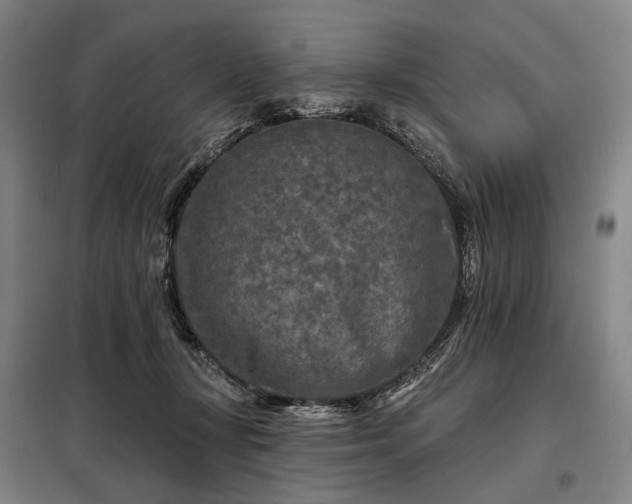 X0000098210367200805011216