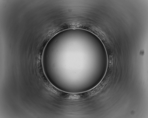 X0000098210369200805011216