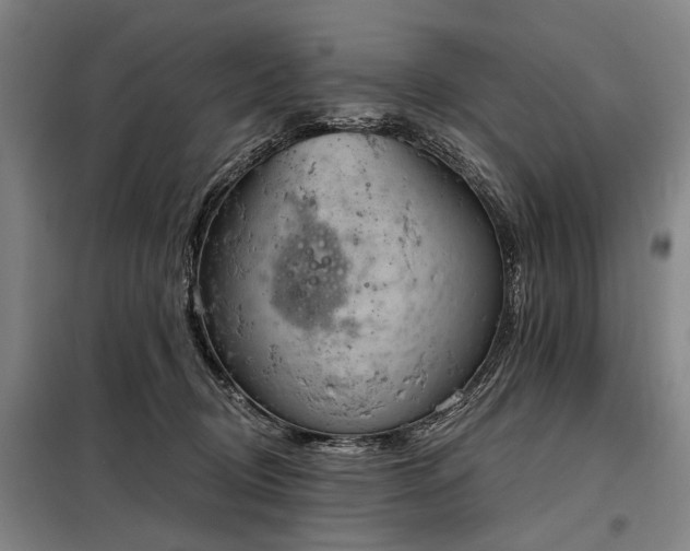 X0000098210370200805011216