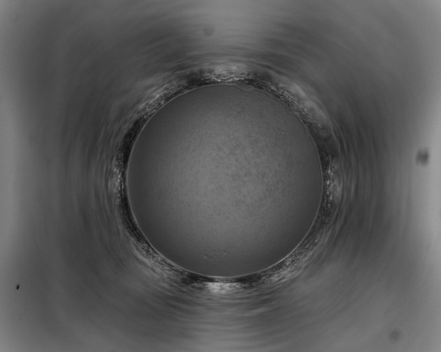 X0000098210371200805011216
