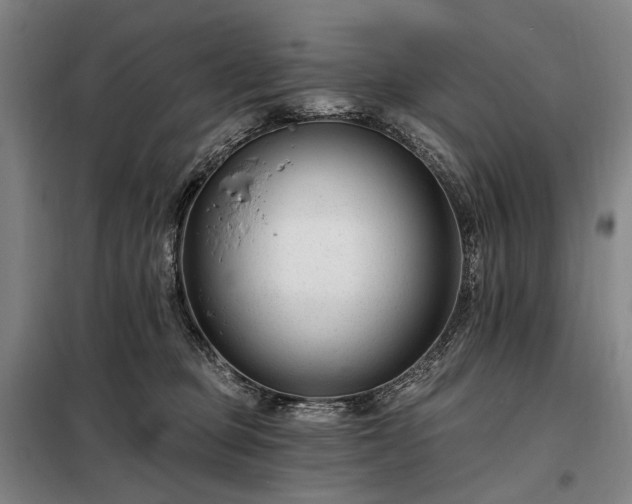 X0000098210373200805011216