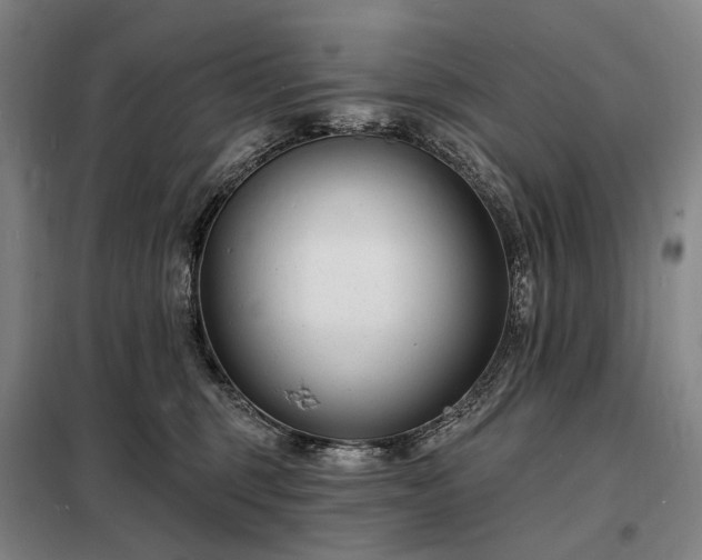 X0000098210375200805011216