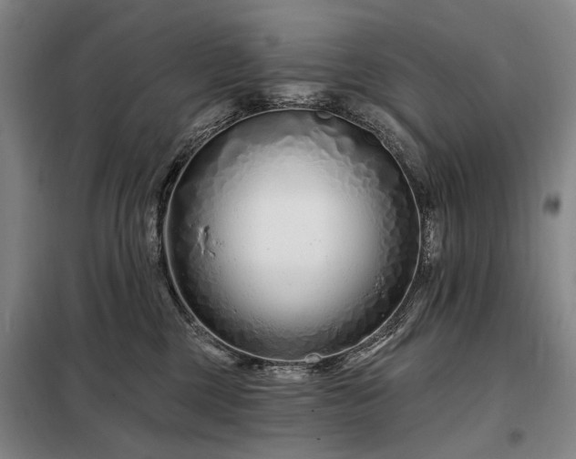 X0000098210377200805011216