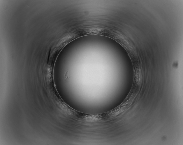 X0000098210378200805011216
