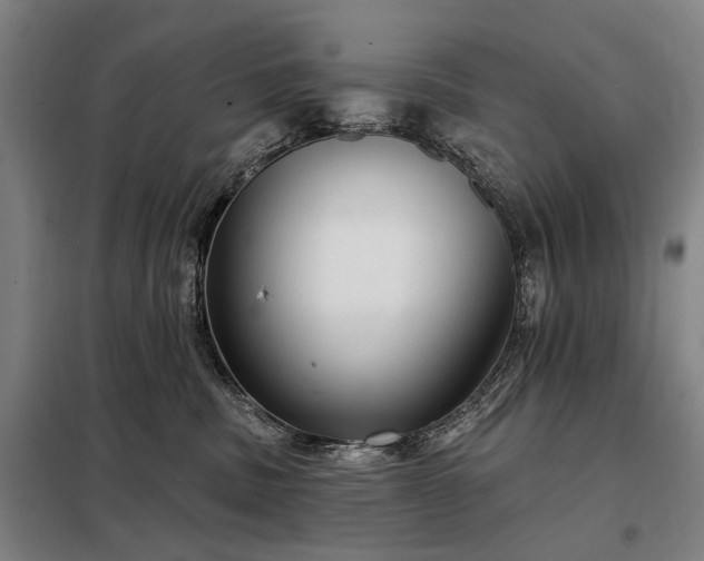 X0000098210379200805011216