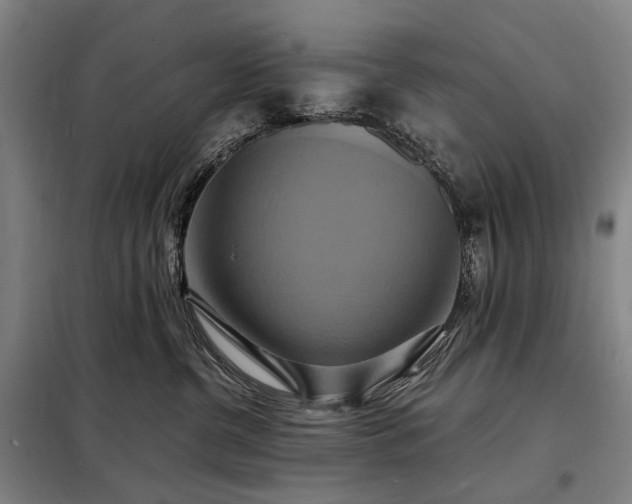 X0000098210380200805011216