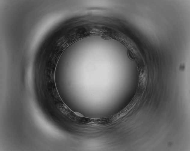 X0000098210381200805011216