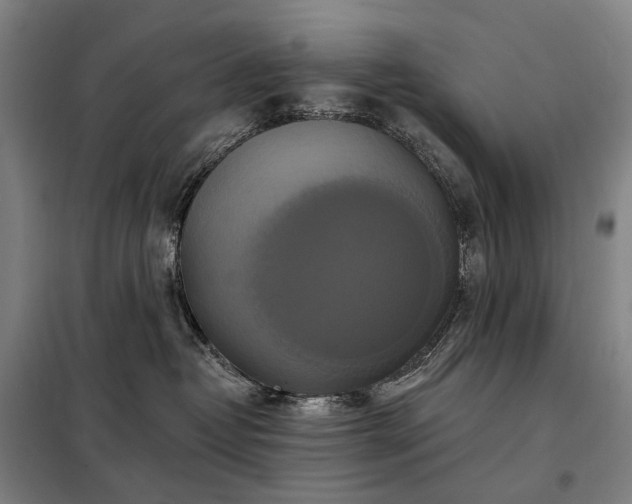 X0000098210382200805011216