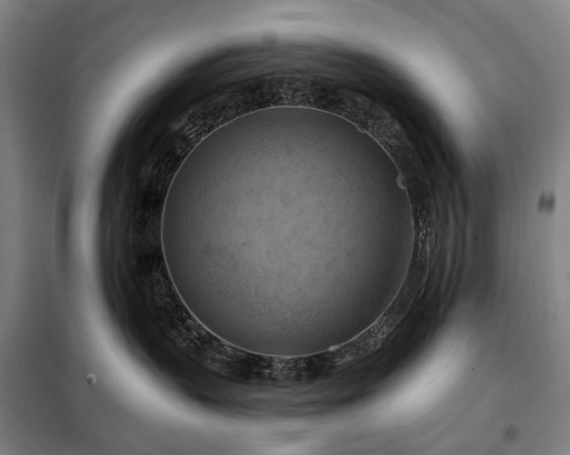 X0000098210383200805011216
