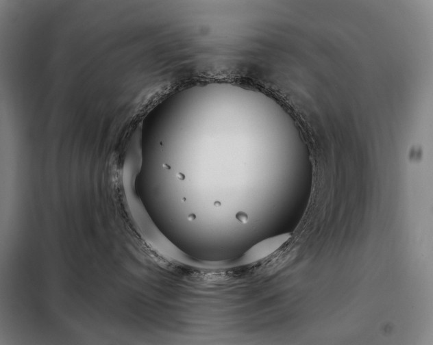 X0000098210384200805011216