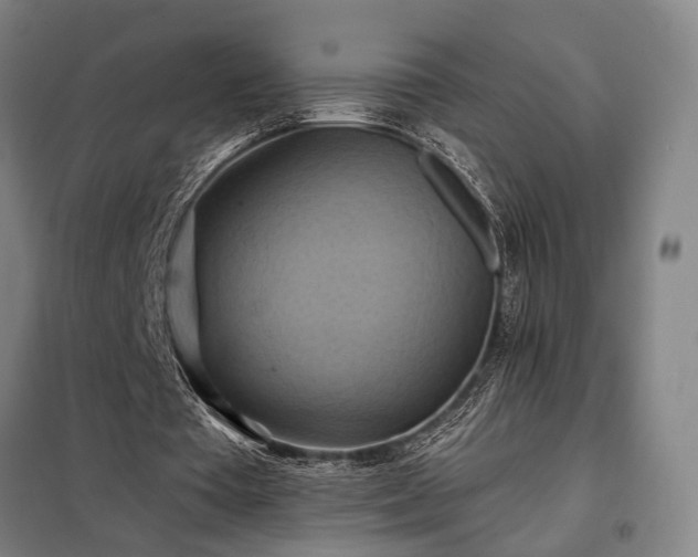 X0000098210385200805011216